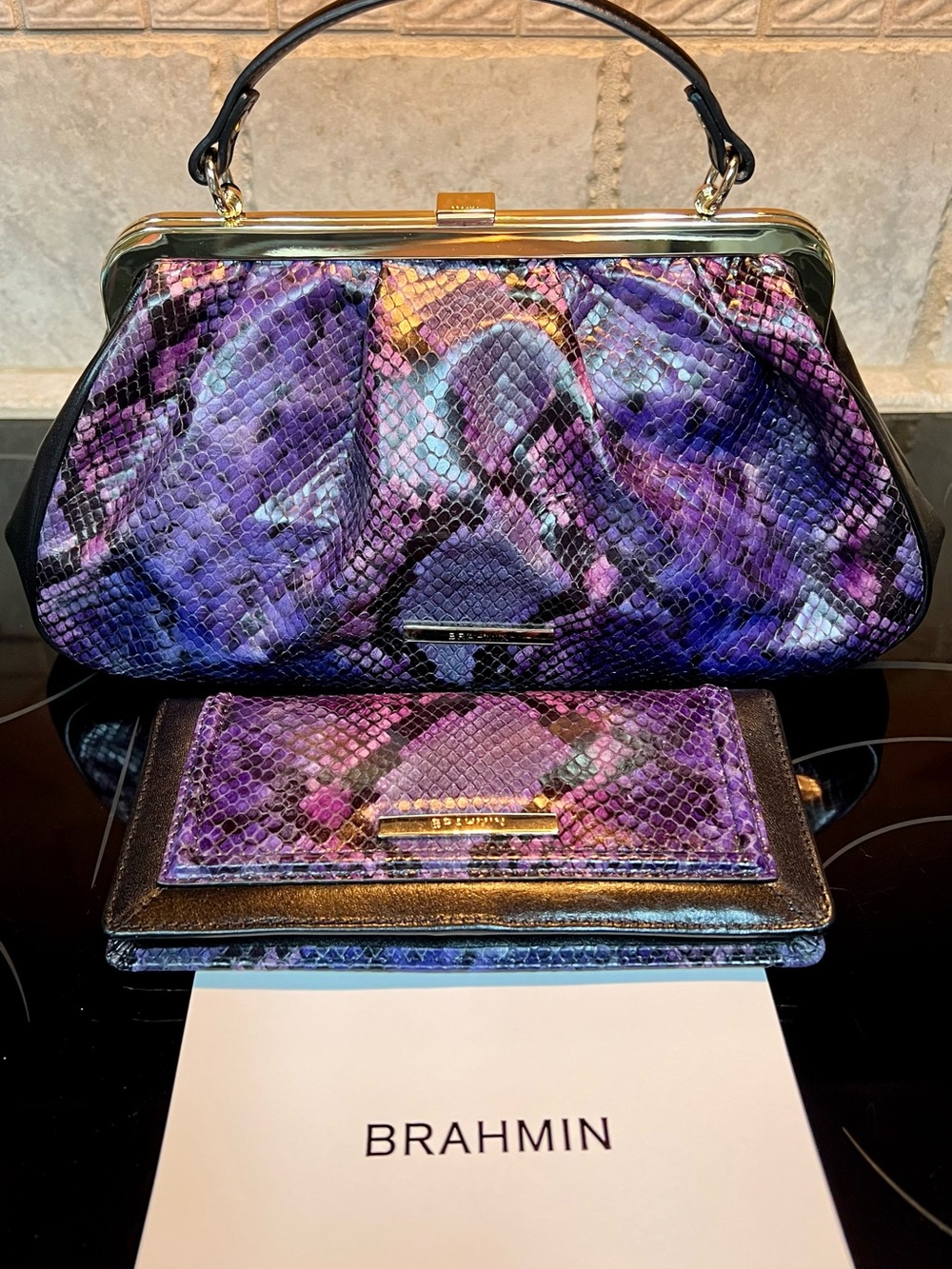 Brahmin Emmet Winterlight Potion Python-Embossed Frame Clutch & Matching Wallet